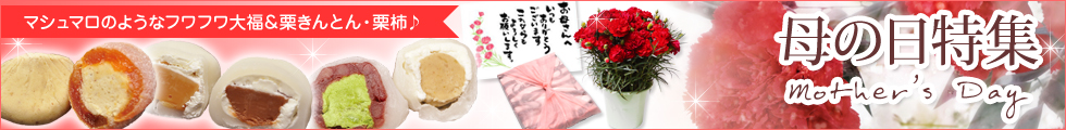 母の日特集