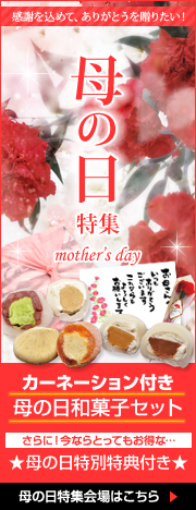 母の日特集