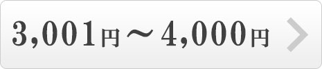 3001円～4000円