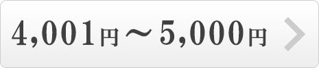 4001円～5000円