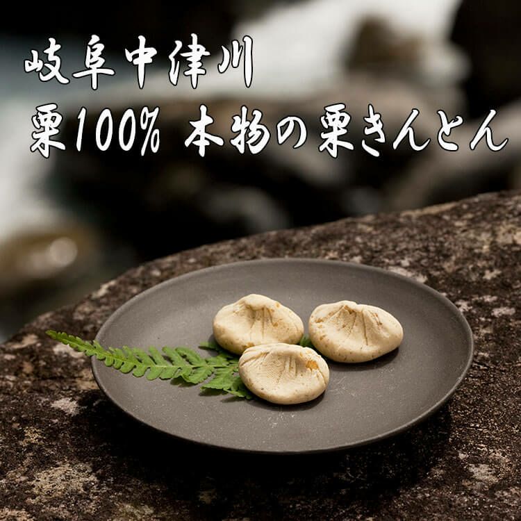 栗100％栗きんとん｜岐阜中津川人気の和菓子お取り寄せ通販くり屋南陽軒