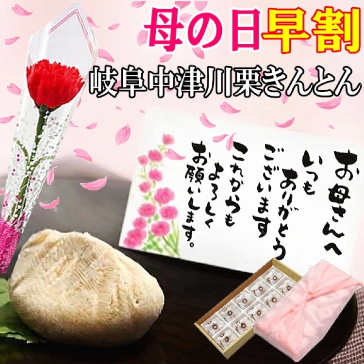 母の日 栗きんとん10個入