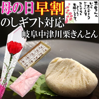 母の日 栗きんとん10個入