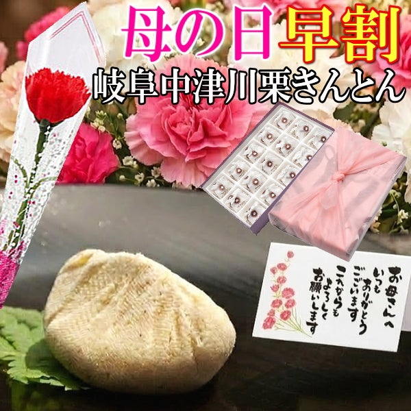 母の日 栗きんとん10個入