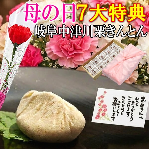 母の日 栗きんとん10個入