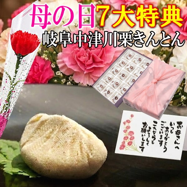 母の日 栗きんとん15個入