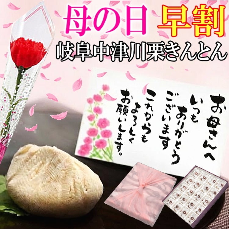 母の日 栗きんとん20個入