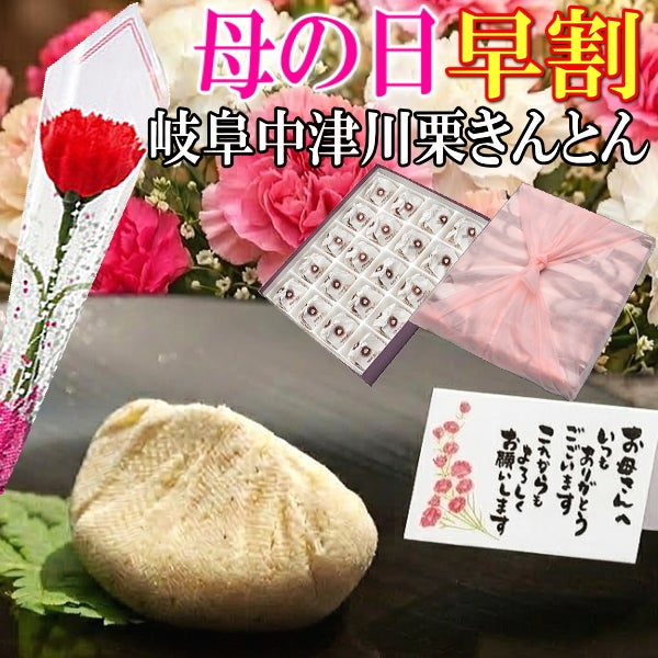 母の日 栗きんとん20個入